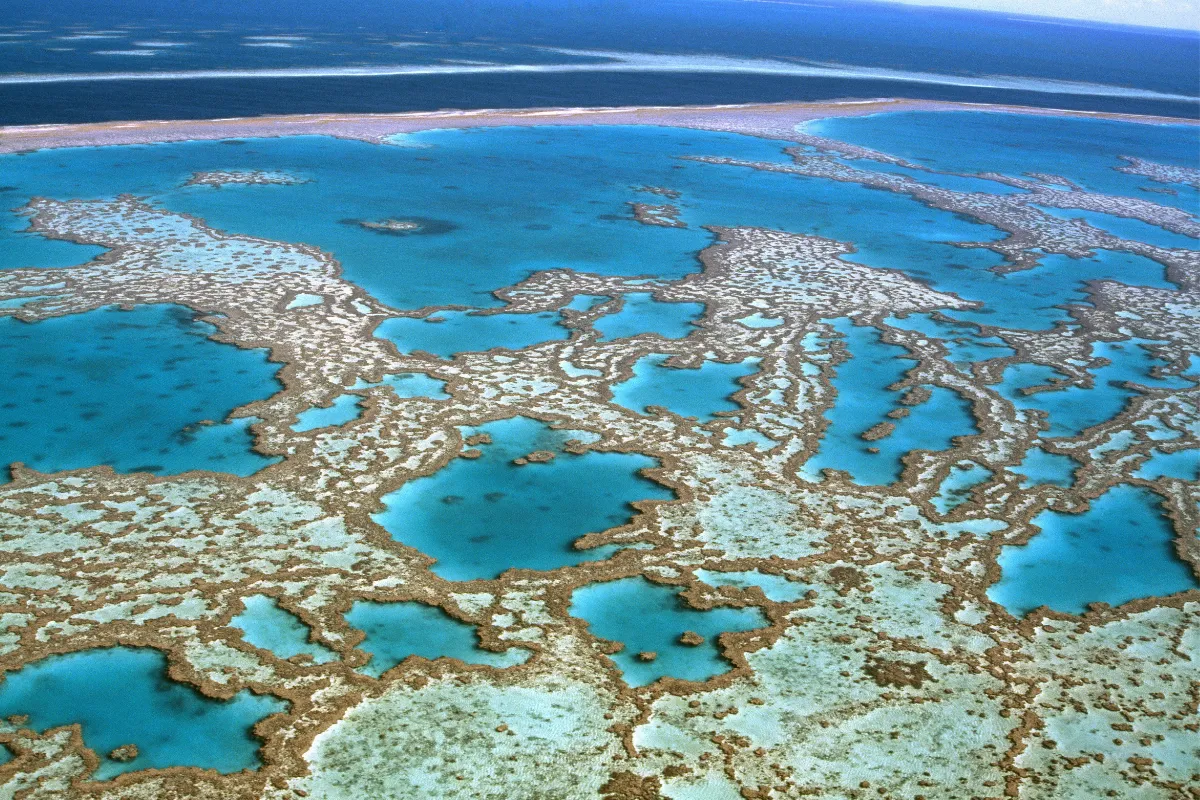 Great Barrier Reef 